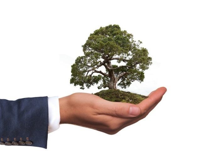 Environmental Stewardship